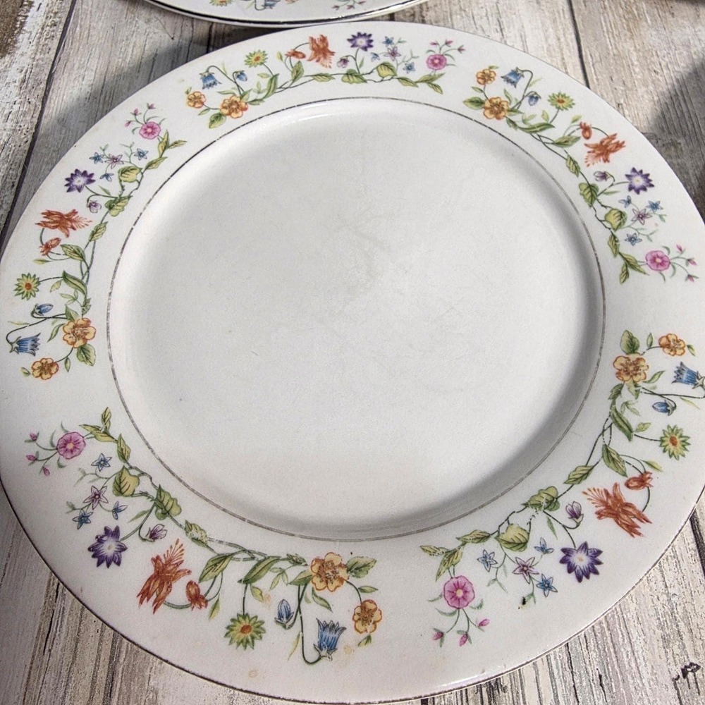 Crown Fine China Floral Vine Salad Plates Set of 4 White Silver Rim 7.5in